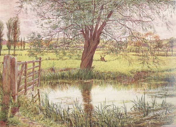 William Bell Scott Landscape with a Gate and Watermeadow (mk46) Spain oil painting art